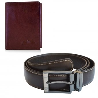 Arpera Wallet Belt  gift Combo for men CB16031